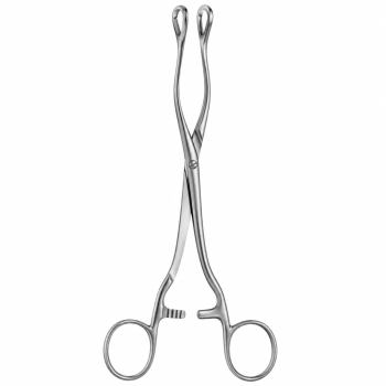 Prostatic Forceps